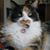 Beth Dillard's profile image