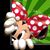 Ruthanne Anthony's profile image