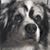 Carolyn Jacobs McCully's profile image