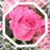 Roselena Becerra's profile image