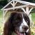 Joyce Berletch's profile image
