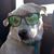 Cassi Howard's profile image