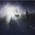 Kristin Beebe Adkins's profile image