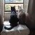Mary Ellen Barry Enos's profile image