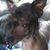 Lynne Frankie Molinari's profile image