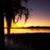 Beverly Kinard's profile image
