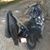 Buddy Gill's profile image