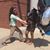 Matt Birnie's profile image