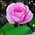 Elizabeth Henry's profile image