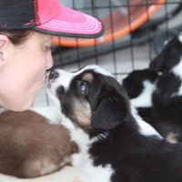 Danielle McJunkins's profile image