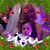 Robyn Allen's profile image