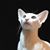 DiDi Cat's profile image