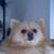 Sandy Robinson's profile image