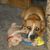Pam Holverson's profile image