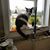 Sue Thome's profile image