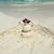 Shauna Ridgeway's profile image