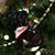 Norie Moore's profile image