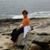 Lynn Lanham's profile image