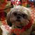 Brenda South Jones's profile image