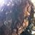 Latai Osborn's profile image