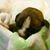Amanda Garrelts's profile image