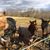 Michele Sturgill-Goff's profile image