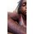 Malik Garrett's profile image