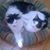 Michael Dunton's profile image