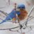 Gwenn Talbot's profile image