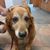 Kellie Padmore's profile image