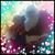 Hazel Sanders's profile image
