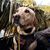 Jody Neilson's profile image