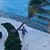 Shelley Farnsworth's profile image