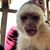 Dwayne Giardina's profile image