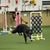 Mary Ann Hinkle's profile image
