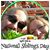 Anita Marshall's profile image