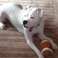 Fortunoff Backyard Store Reviews Outdoor Furniture Stores At 545 Us 46 Totowa Nj Fortunoff Backyard Store Reviews Outdoor Furniture Stores At 545 Us 46 Totowa Nj