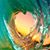 Sherry Lambert's profile image