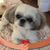 Ronda Gorham's profile image
