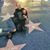 Heather Rose McDonald's profile image