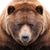 Kim Beattie-Menke's profile image