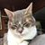 MaryBeth Nantais-Menard's profile image