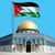 Nedal Fayad's profile image