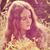 Liz Bourque's profile image