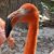 Edwinna Overfield Harrod's profile image