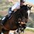 Jon Knight-Realtor's profile image