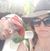 Josh Resa Lorber's profile image