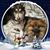 Alesha Taber's profile image