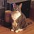 Nadine Kipphut Poormon's profile image