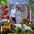 Silvia Sanchez's profile image